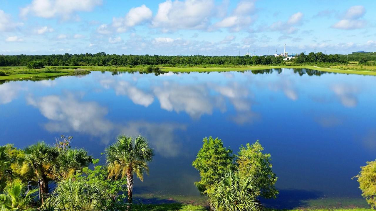 Apartment Newly Updated W Scenic View Orlando